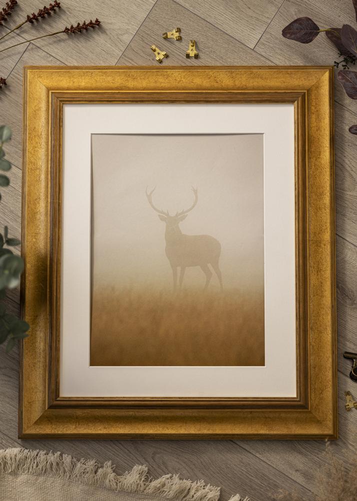 Rāmis Belfast Tumšs Zelta - Jebkurš izmērs