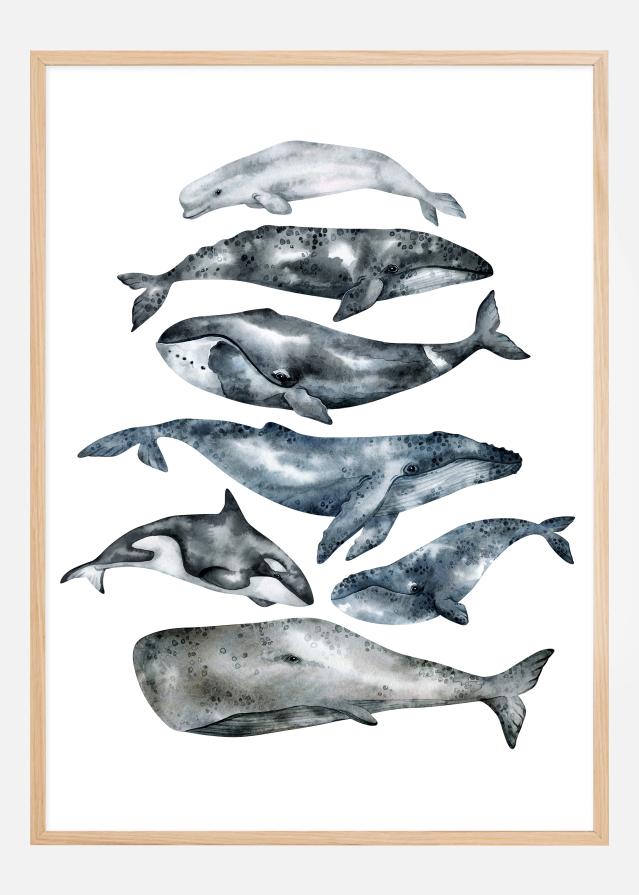 Whales Plakāts