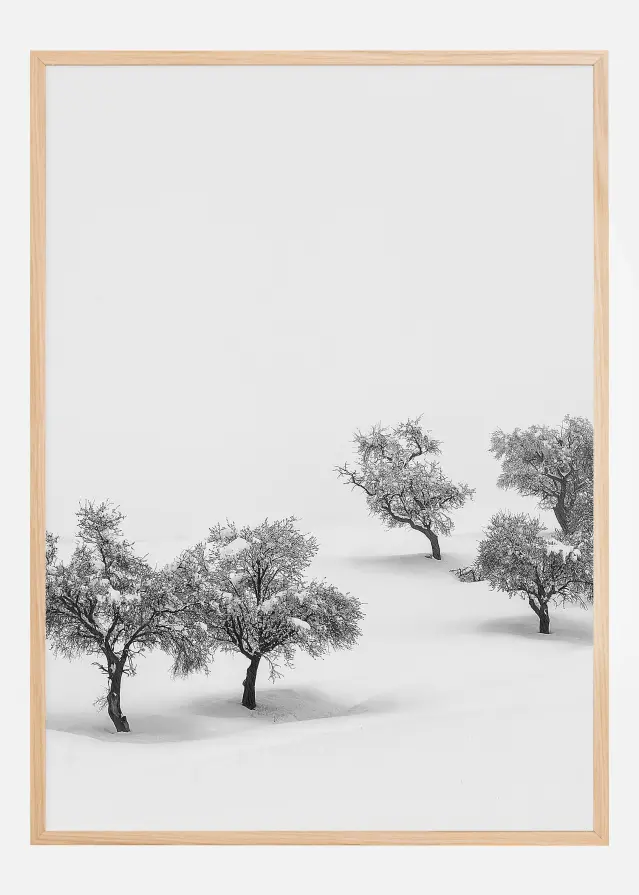 White Carpet Plakāts