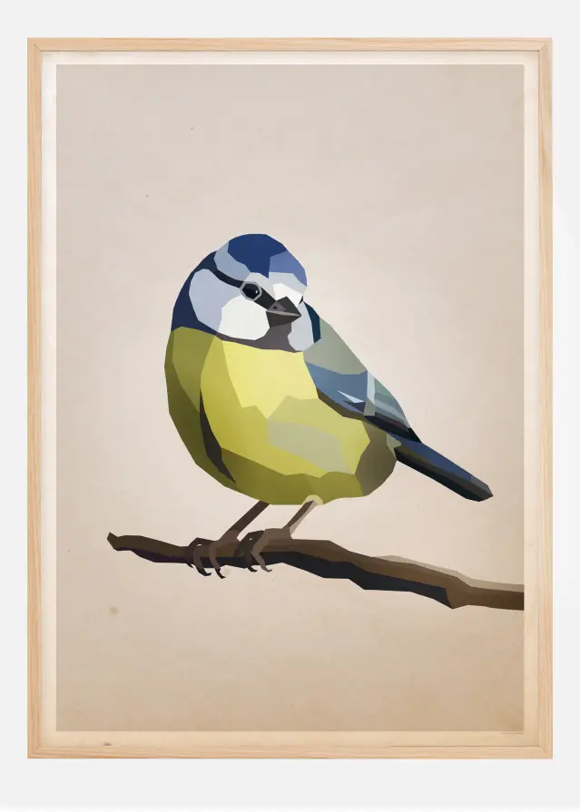 Blue tit Plakāts