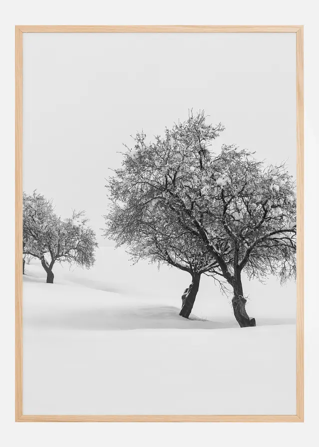 White carpet II Plakāts