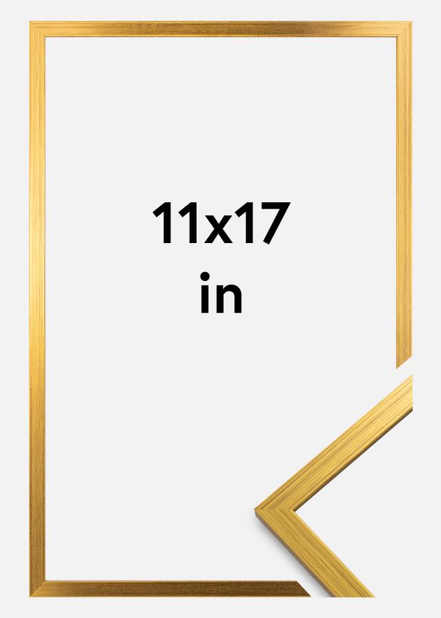 Rāmis Edsbyn Akrila stikls Zelta 11x17 inches (27,94x43,18 cm)