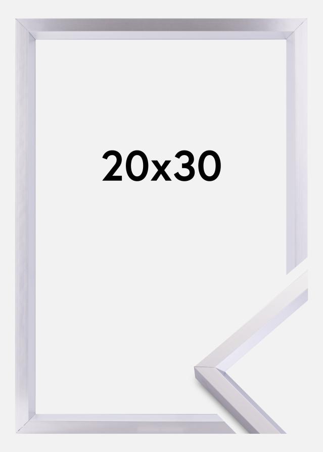 Rāmis Steel Style Sudrabs 20x30 cm