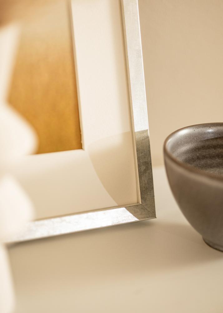 Rāmis Ares Akrila stikls Sudrabs 20x30 cm