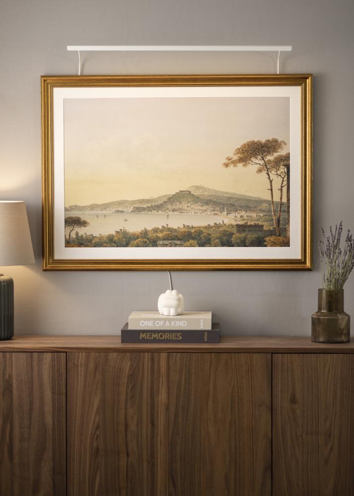 BLP 117 gleznu apgaismojums 85 cm - Balts