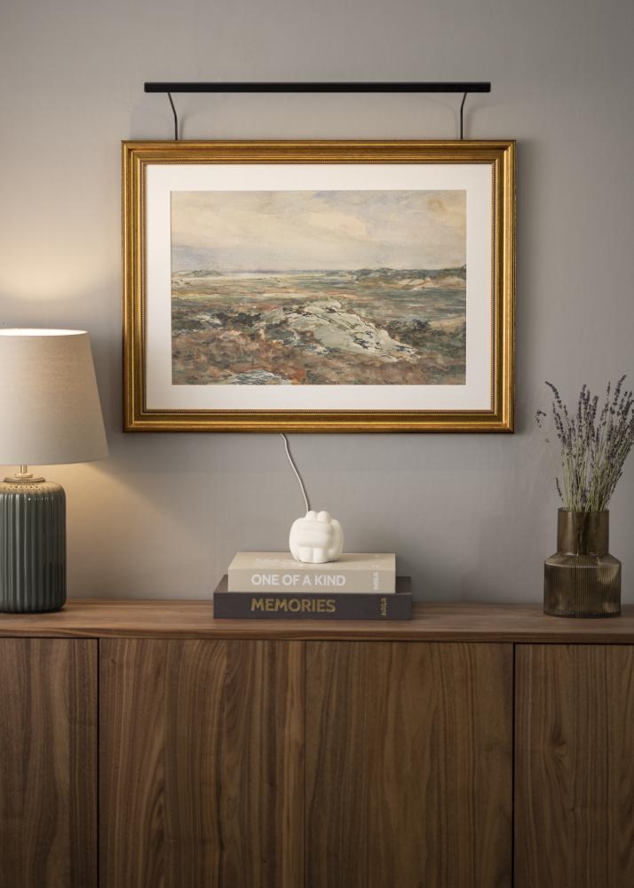 BLP 117 gleznu apgaismojums 65 cm - Melns