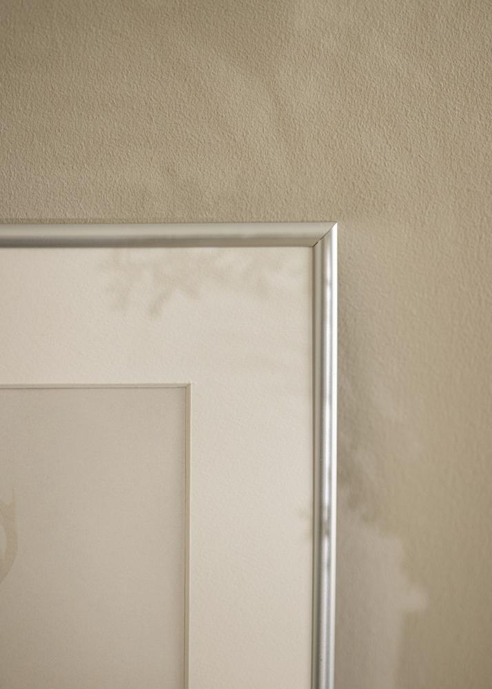 Rāmis Victoria Akrila stikls Sudrabs 70x100 cm