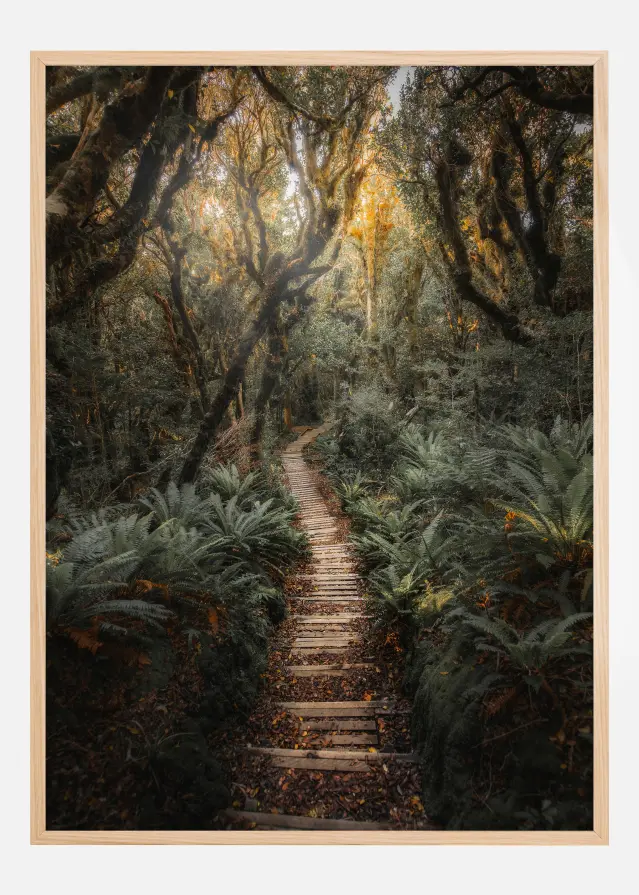 Narrow Path Plakāts