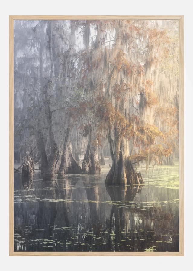 Louisiana Swamp Plakāts