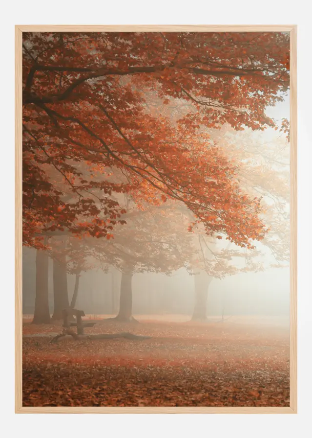 The Wonders Of Nature Plakāts