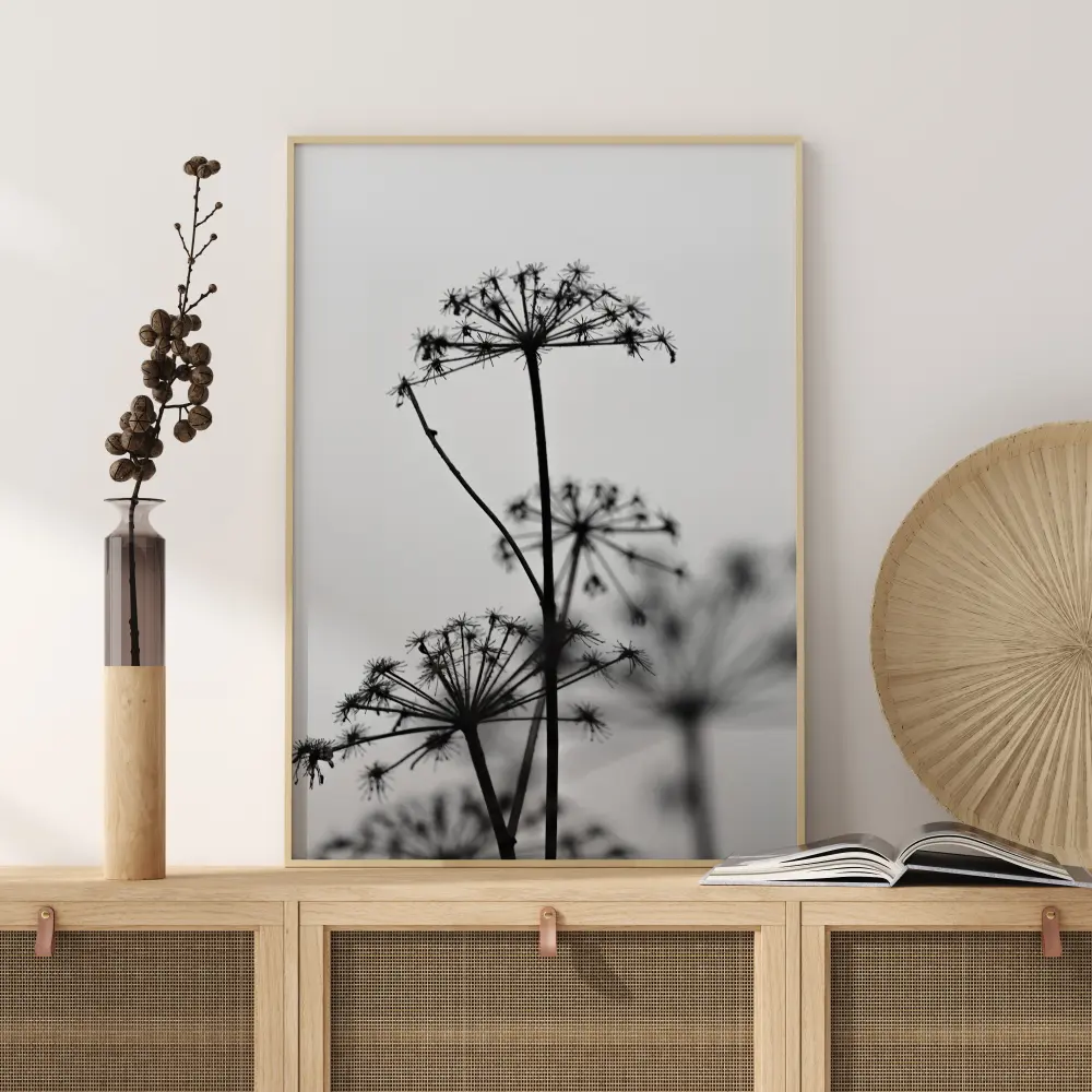 Black And White Flowers Plakāts