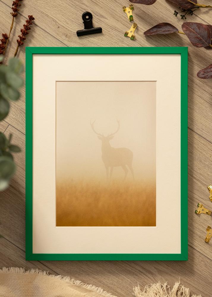 Colorful Akrila stikls Zaļš 42x59,4 cm (A2)