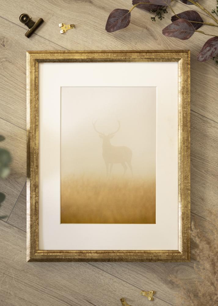 Rāmis Nyhyttan Antīks Zelta - Jebkurš izmērs