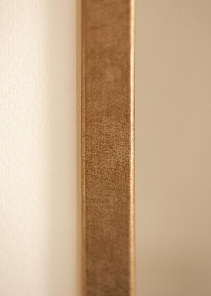 Rāmis Ares Akrila stikls Misiņš 20x28 cm