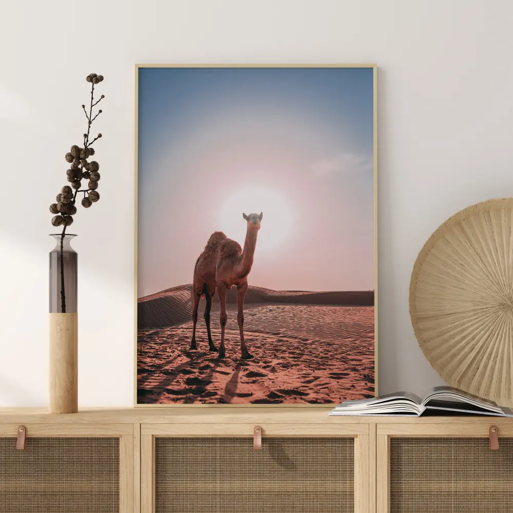 Camel Plakāts