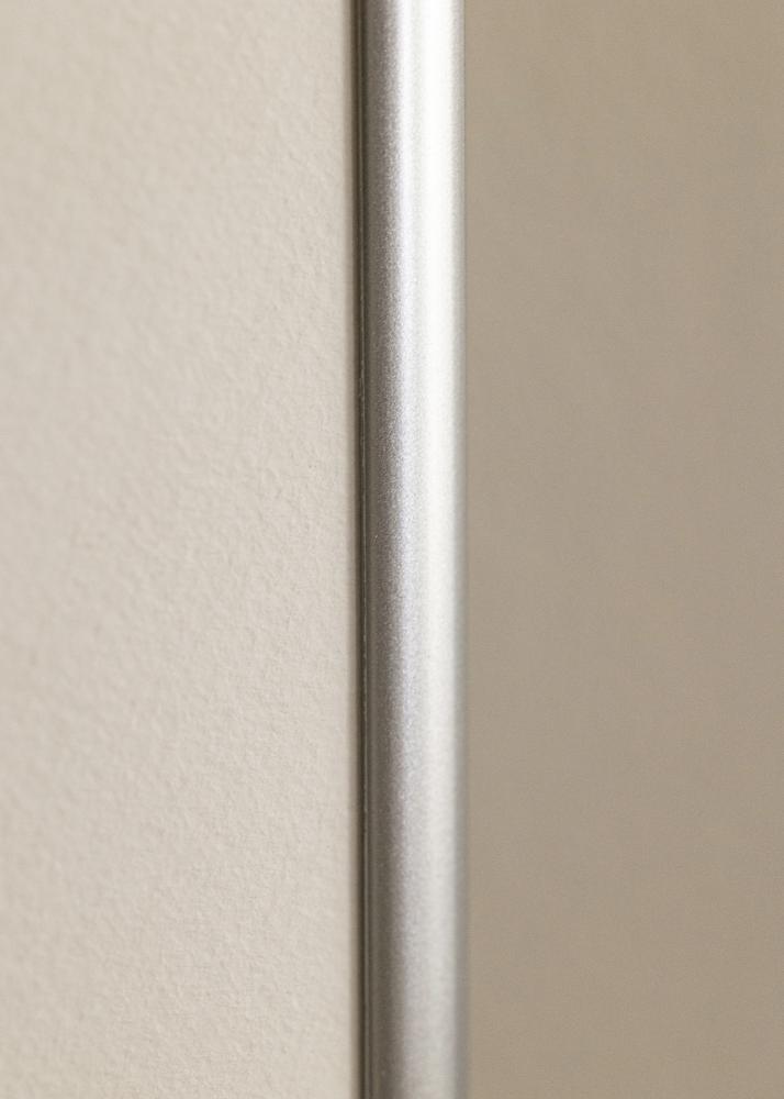 Rāmis Victoria Akrila stikls Sudrabs 70x100 cm