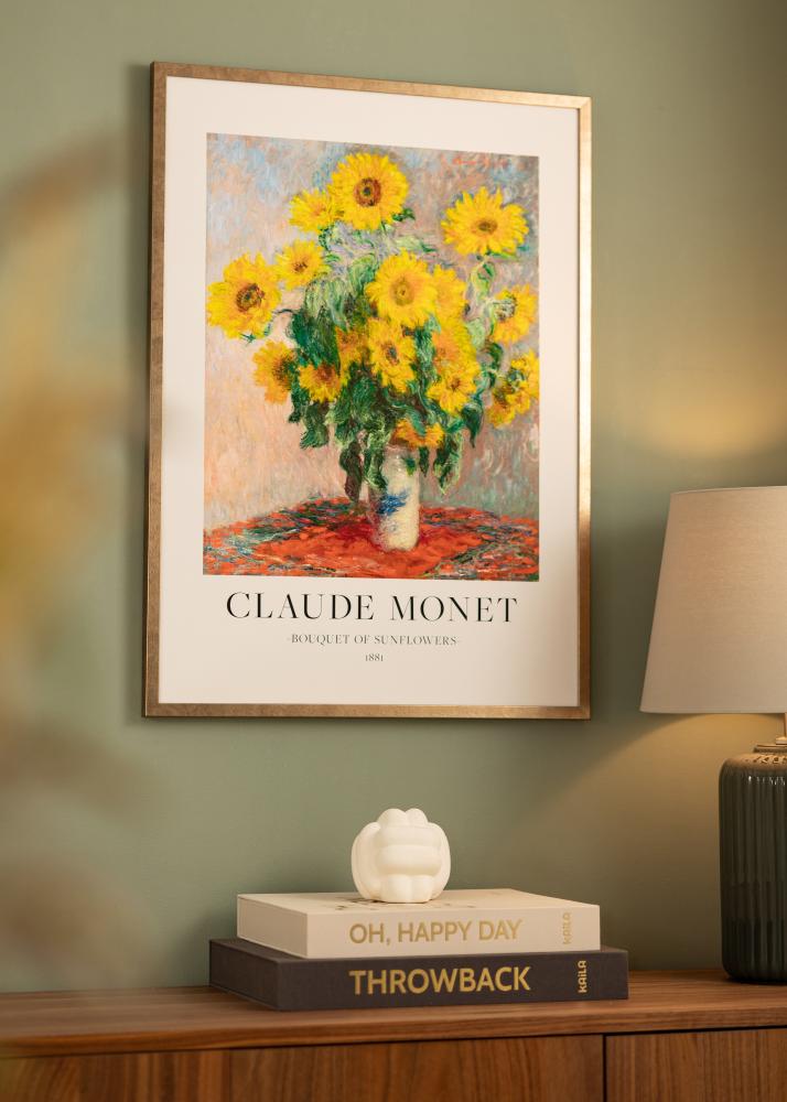 Rāmis Ares Akrila stikls Misiņš 20x28 cm