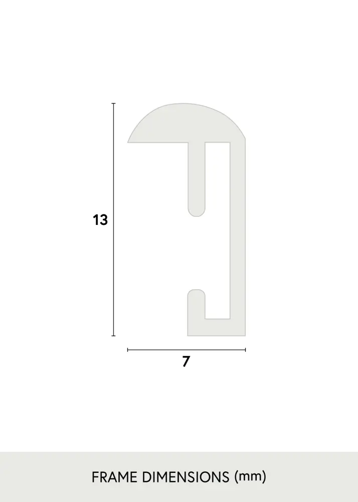 Rāmis Can-Can Sudrabs 21x30 cm
