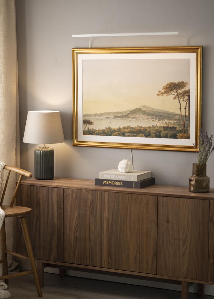 BLP 117 gleznu apgaismojums 85 cm - Balts