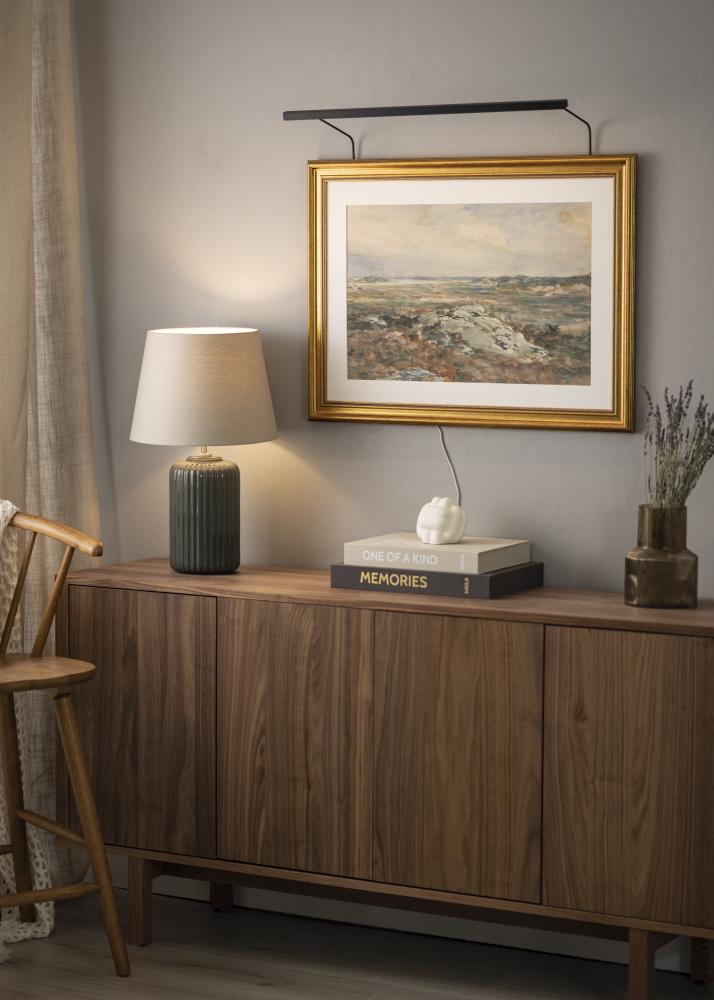 BLP 117 gleznu apgaismojums 65 cm - Melns