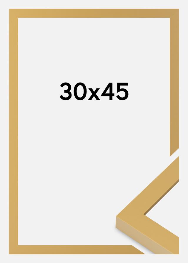 Rāmis Selection Akrila stikls Corn Yellow 30x45 cm