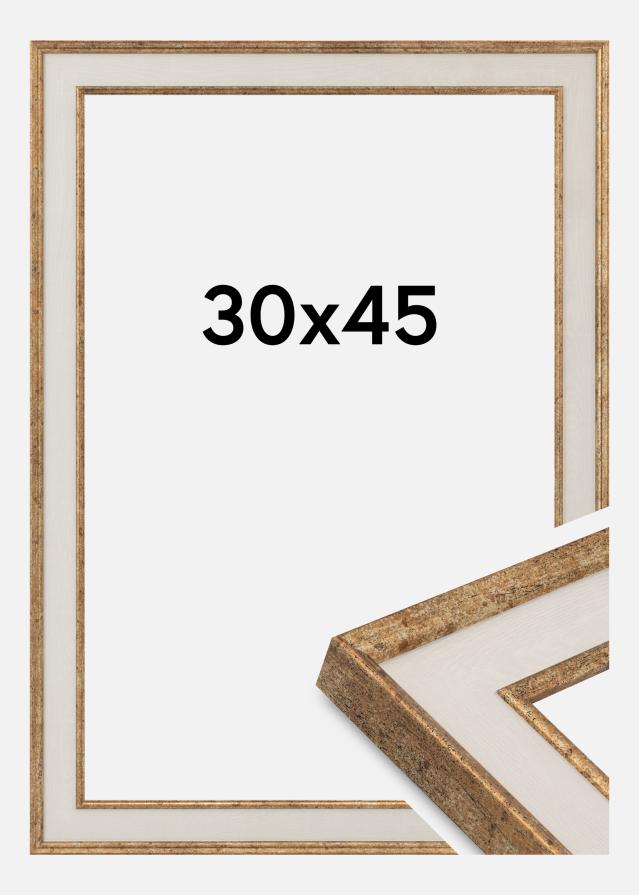 Rāmis Dolly Akrila stikls Zelts 30x45 cm