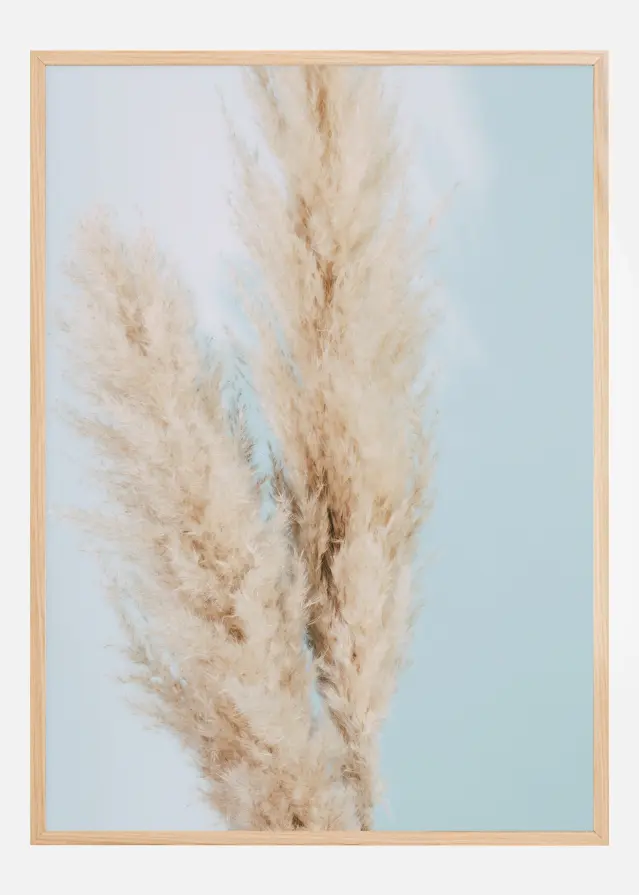Pampas Grass Blue Plakāts