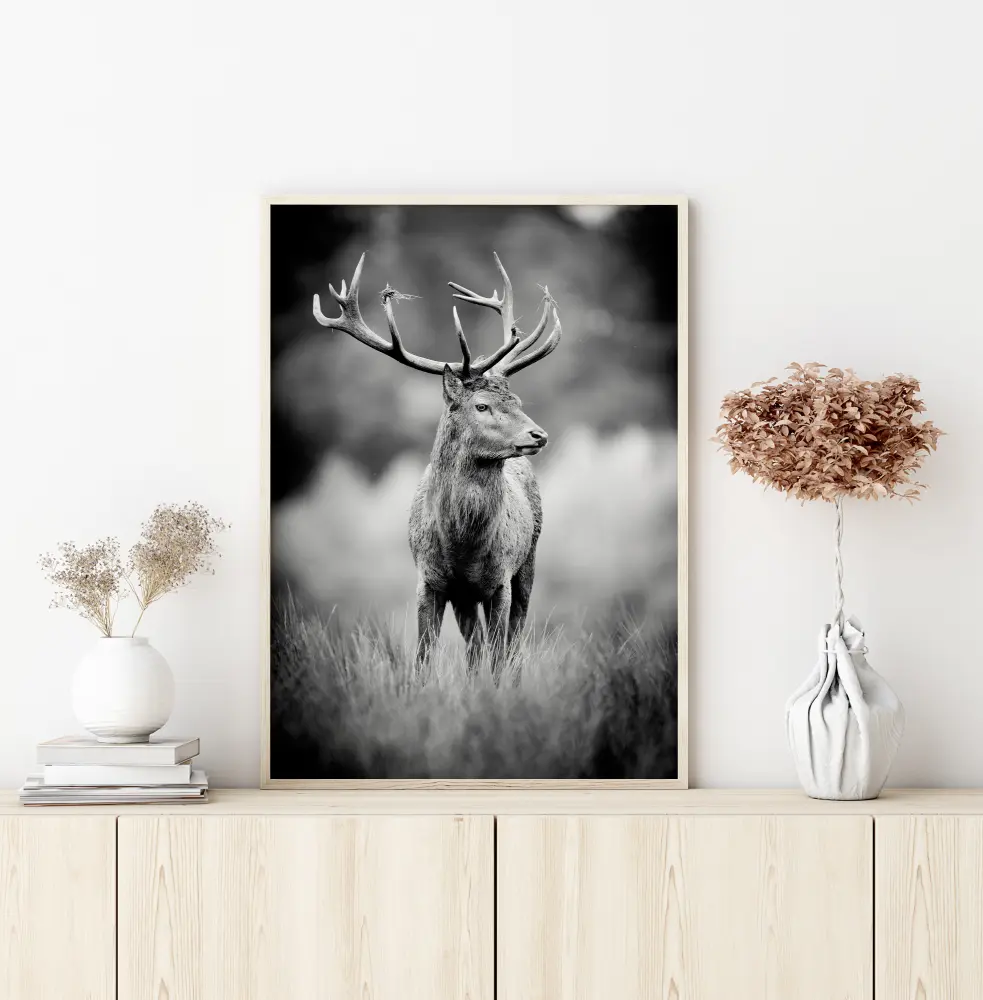 Deer With Horns Plakāts