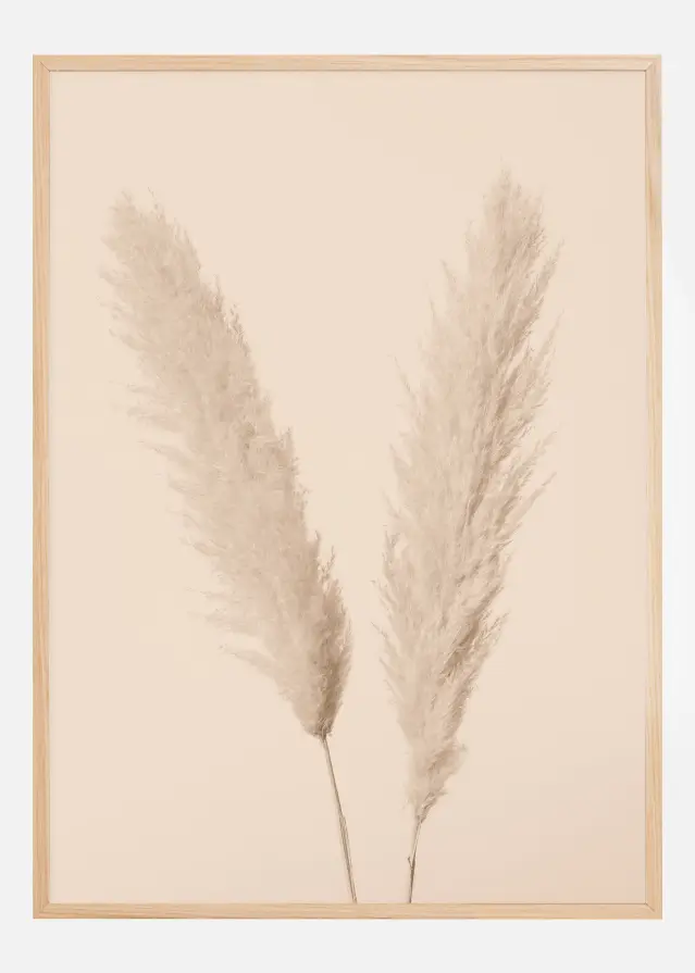 Pampas Grass I Plakāts