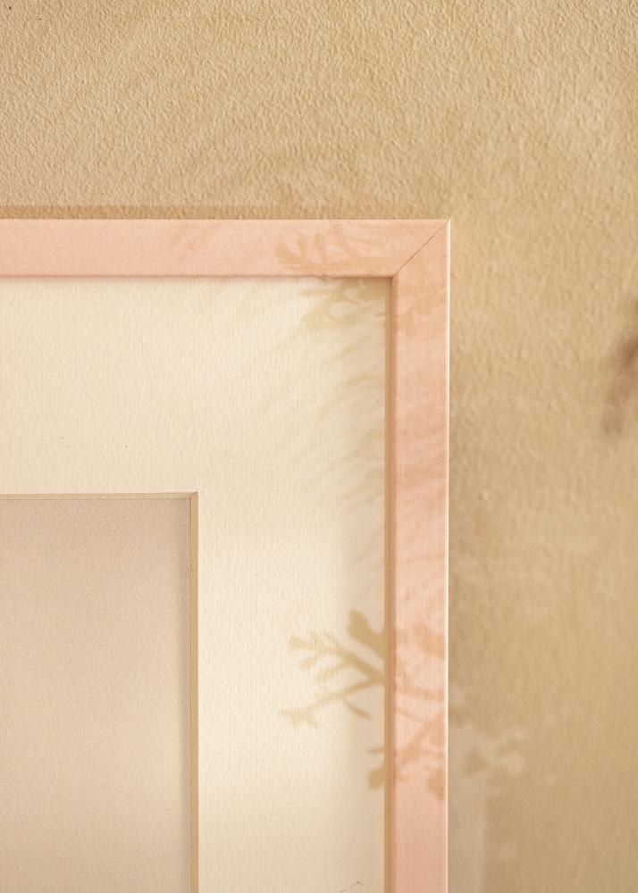 Colorful Akrila stikls Rozā 40x60 cm