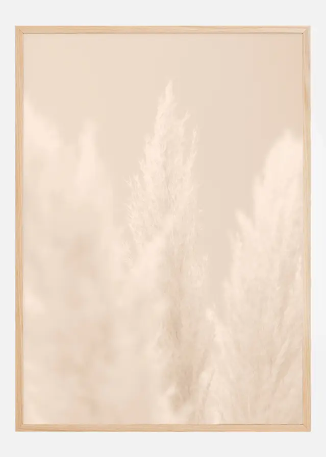Pampas Grass II Plakāts