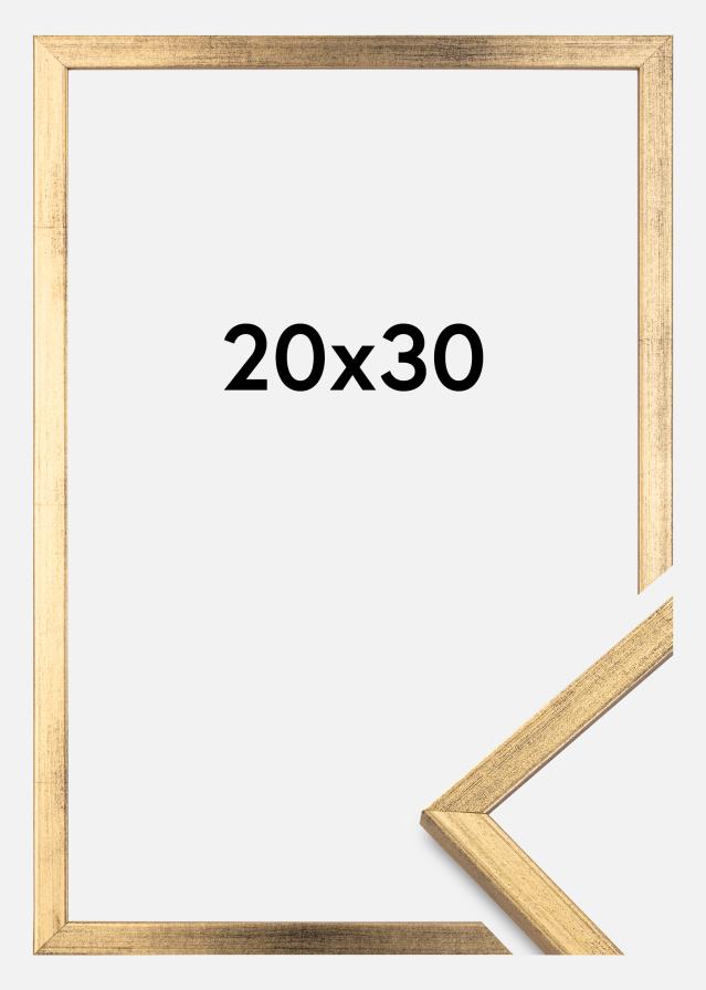 Rāmis Galant Zelta 20x30 cm