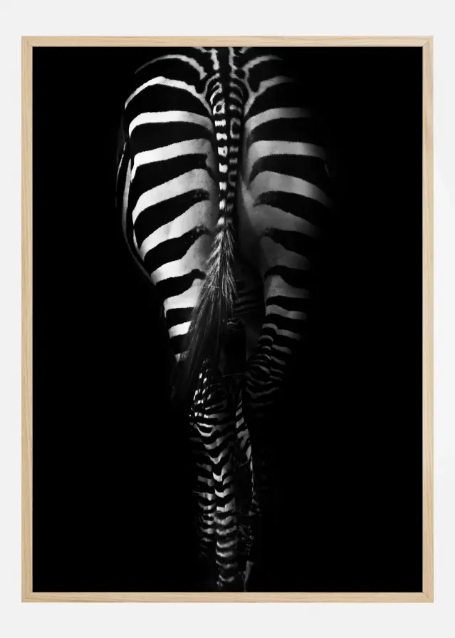 Zebra Tail Plakāts