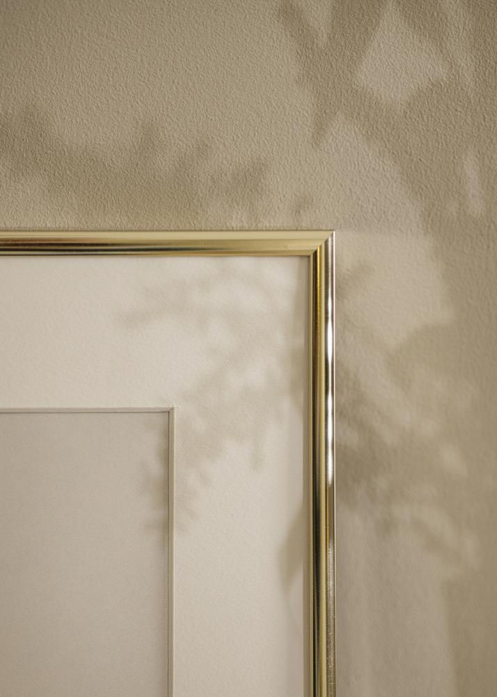 Rāmis Alumīnijs Akrila stikls Glansēts Zelts 21x29,7 cm (A4)