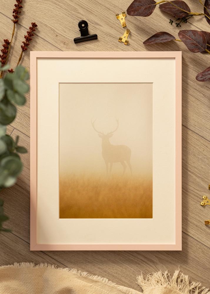 Colorful Akrila stikls Rozā 40x60 cm