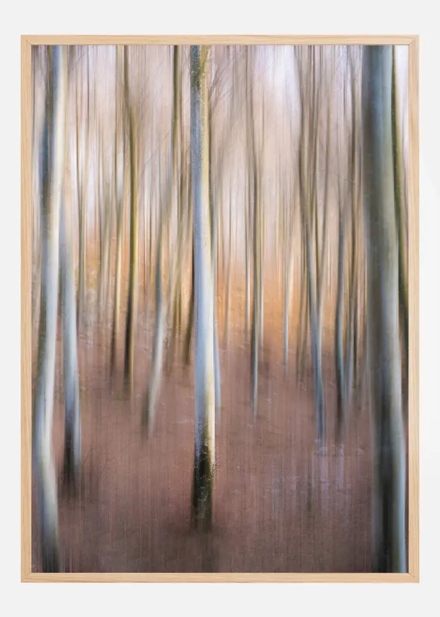 Magic Woodland Plakāts