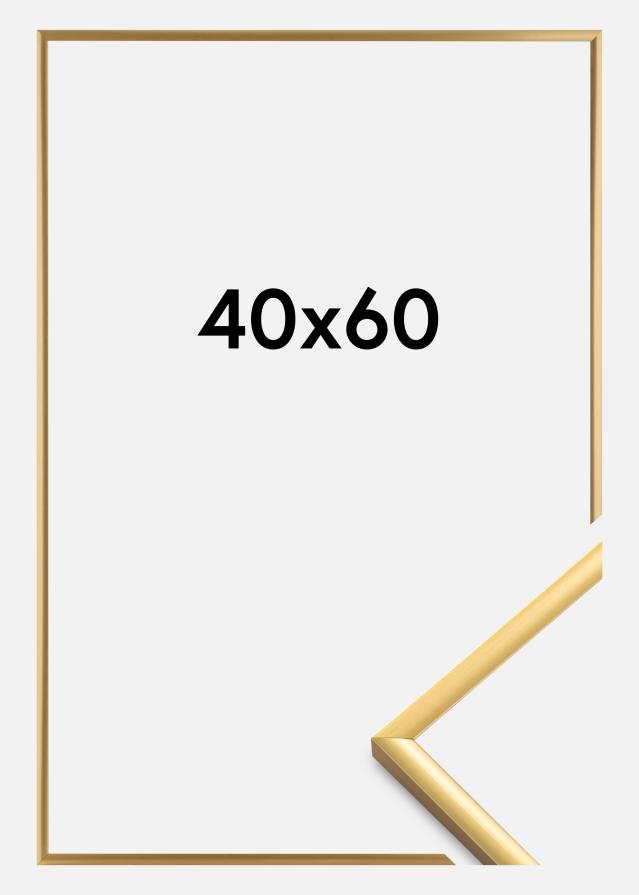 Rāmis New Lifestyle Akrila stikls Shiny Gold 40x60 cm