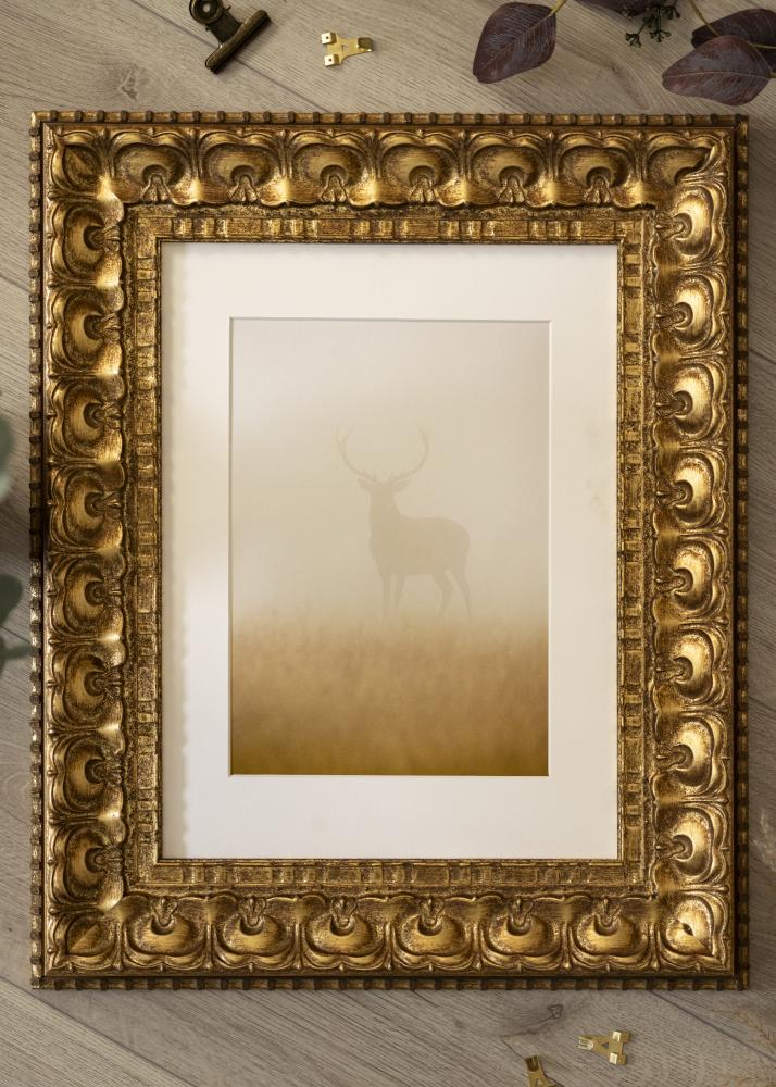 Rāmis Skokloster Zelta - Jebkurš izmērs