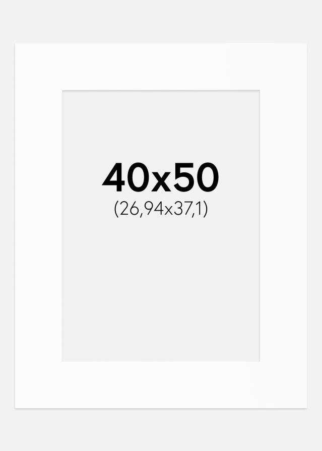 Paspartū Balts Standarts (Balts Kodols) 40x50 cm (26,94x37,1)