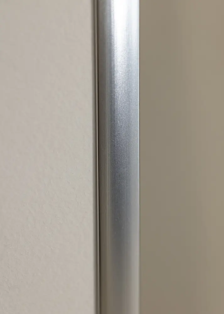 Rāmis Plakāts Frame Aluminum Sudrabs 70x100 cm - Paspartū Balts 61x91,5 cm