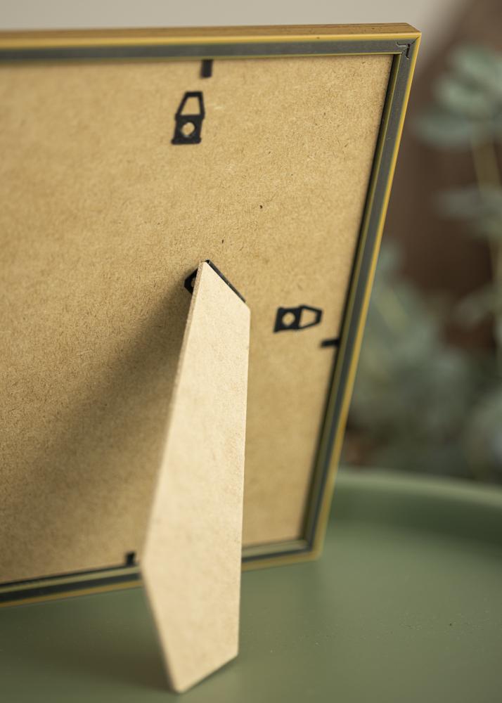 Rāmis Classic Zelta 24x30 cm