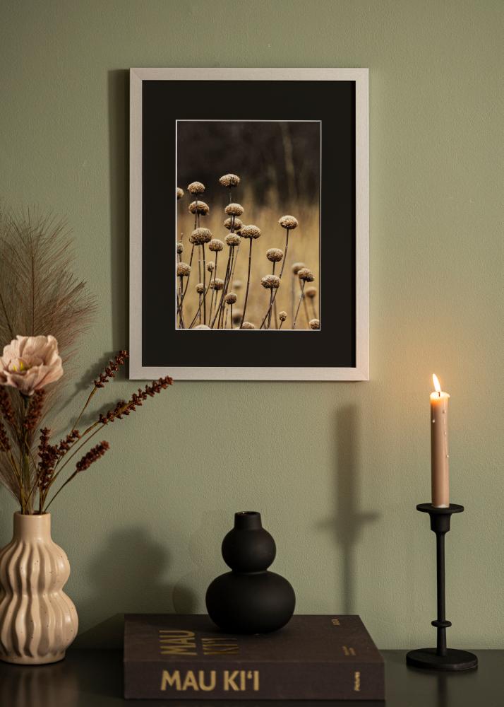 Rāmis Selection Sudrabs 70x100 cm - Paspartū Melns 62x93 cm