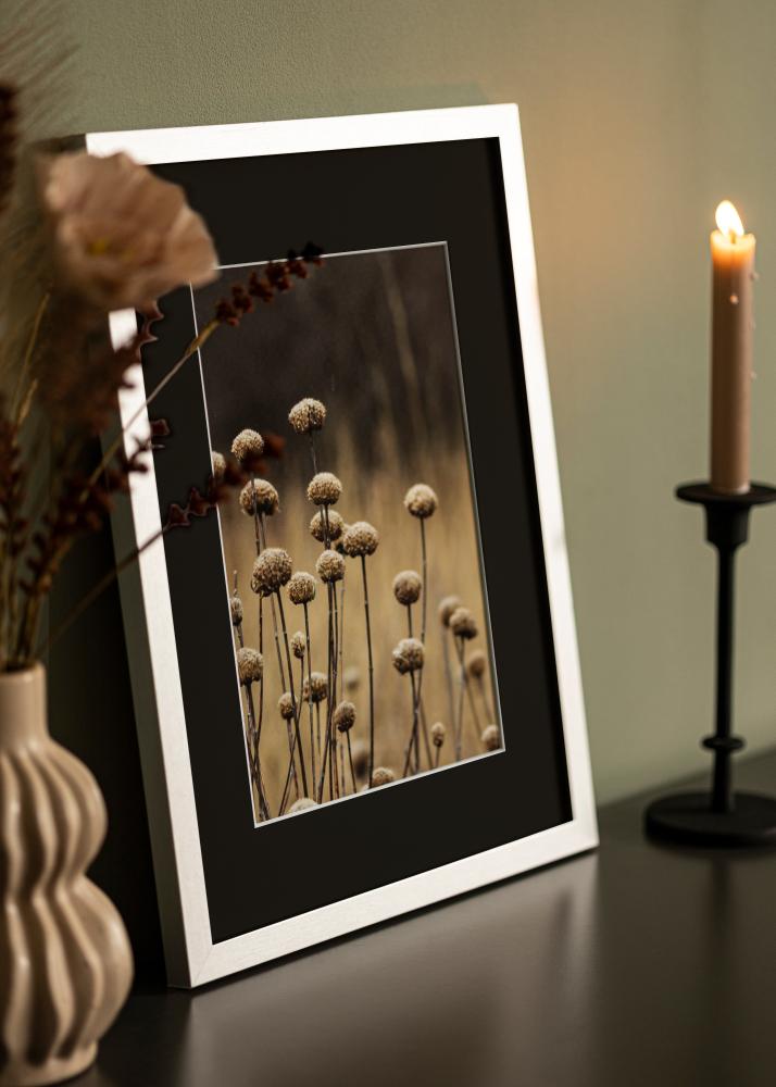 Rāmis Selection Sudrabs 70x100 cm - Paspartū Melns 62x93 cm