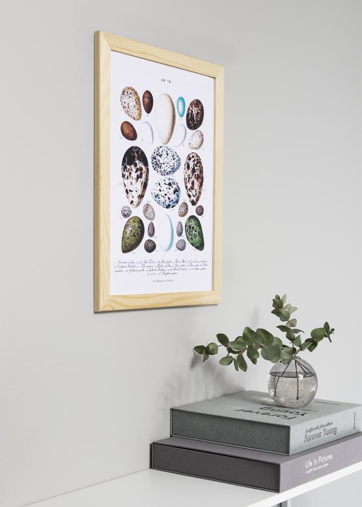 Rāmis Trendline Nature 80x80 cm - Paspartū Melns 70x70 cm