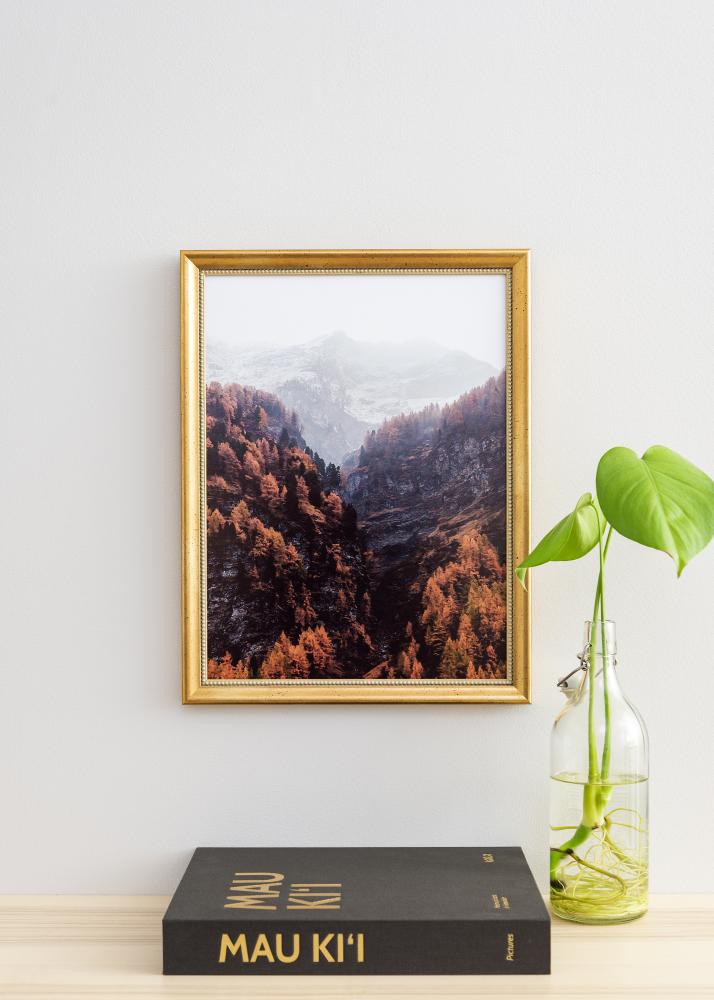 Rāmis Delighted 50x70 cm