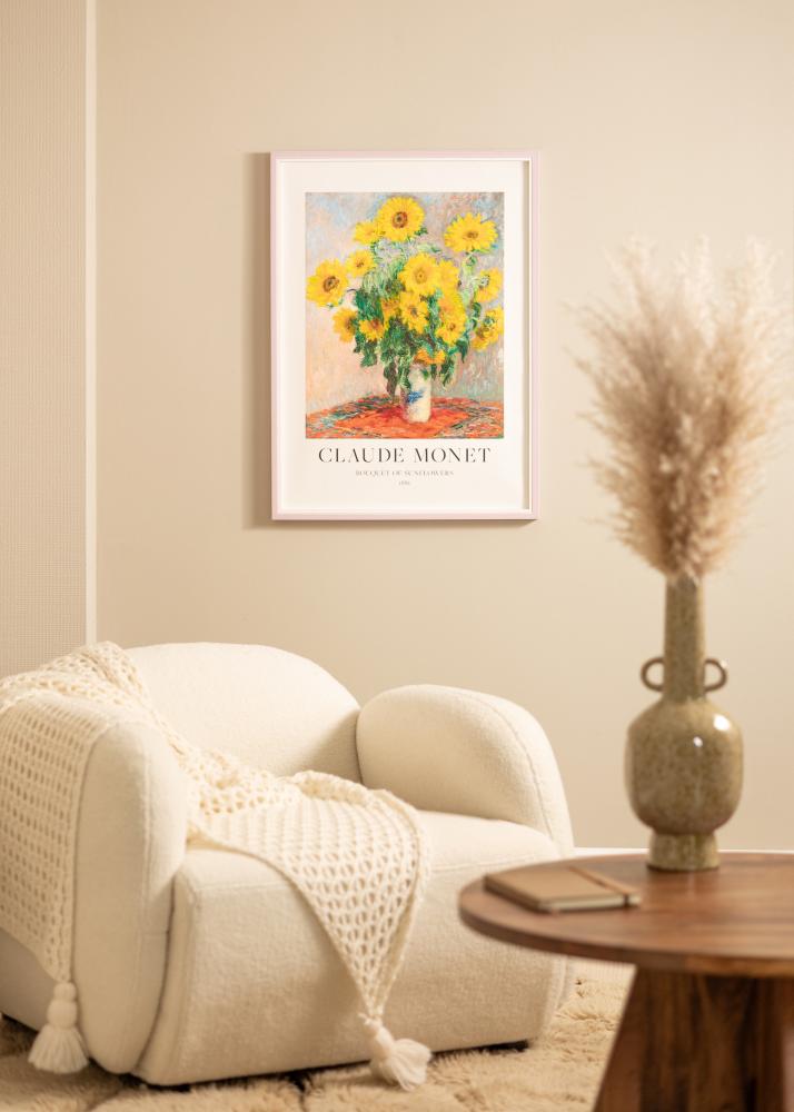 Rāmis Diana Akrila stikls Pink 20x25 cm