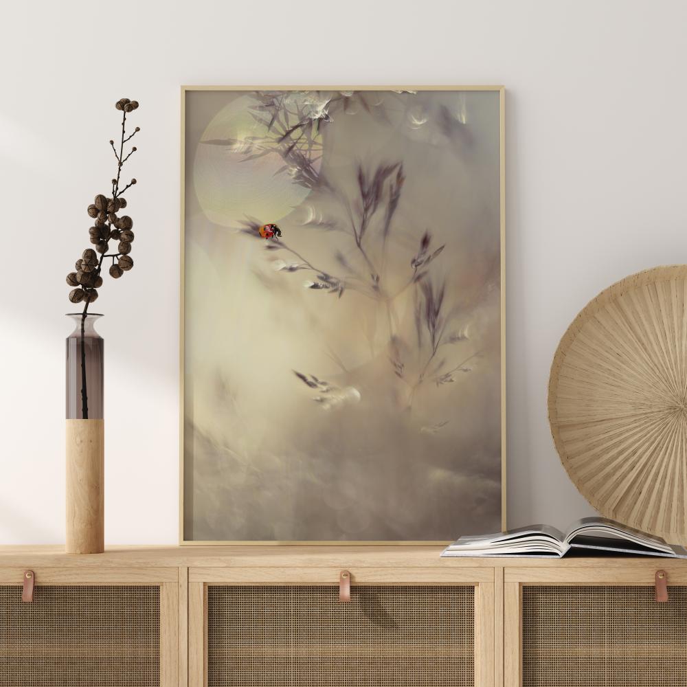 Little Lady Plakāts