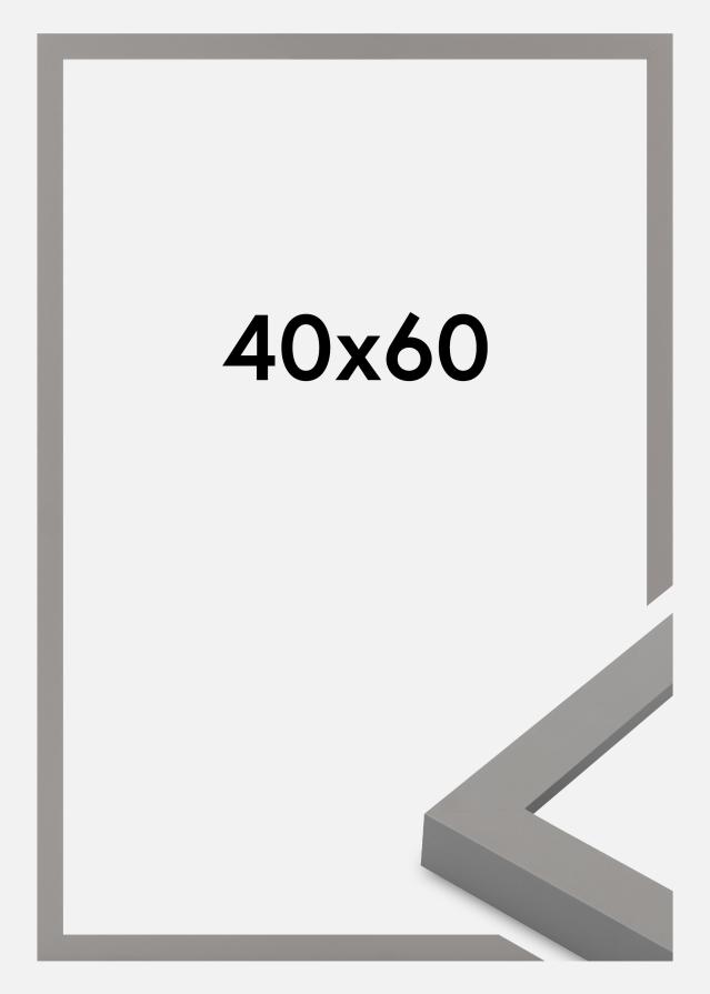 Rāmis Selection Akrila stikls Grey 40x60 cm