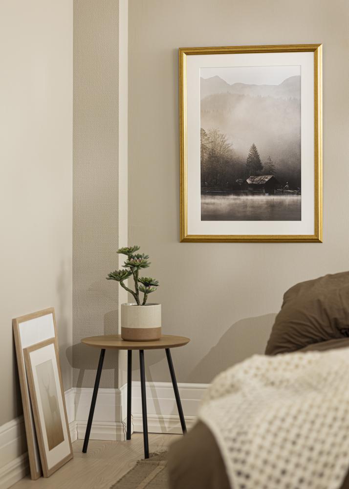 Rāmis Västkusten Akrila stikls Zelta 34x42 cm