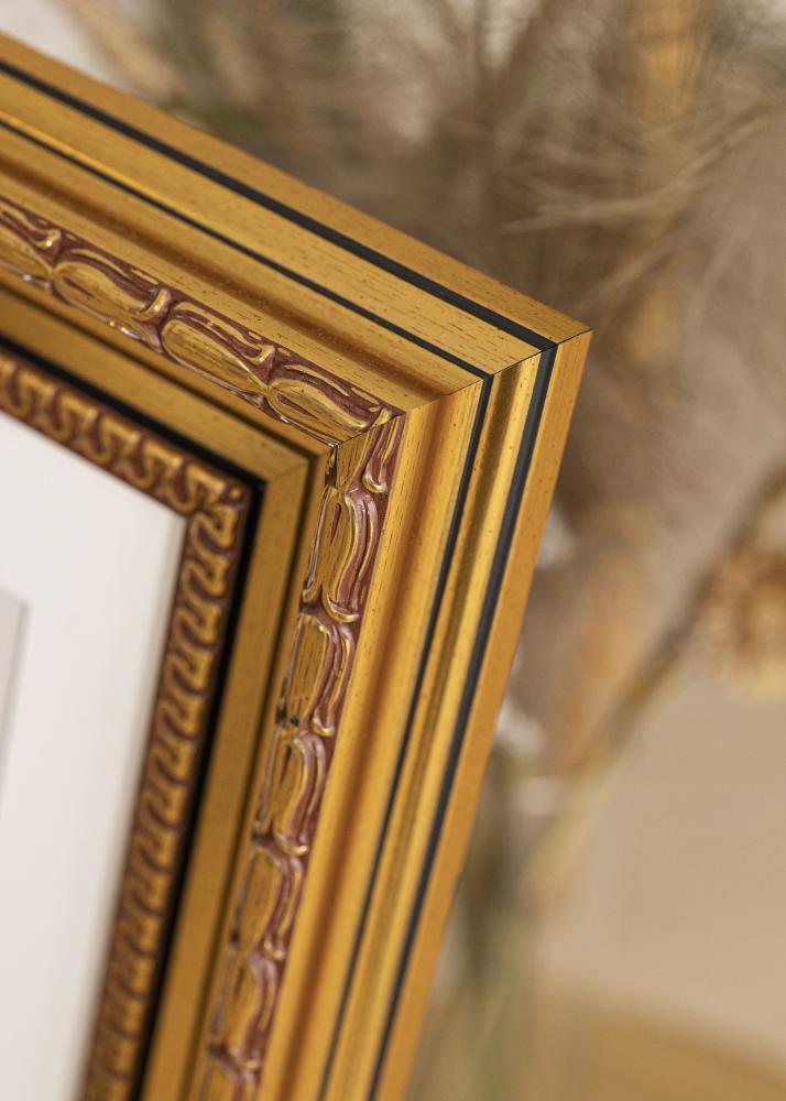 Rāmis Birka Premium Zelta 70x70 cm